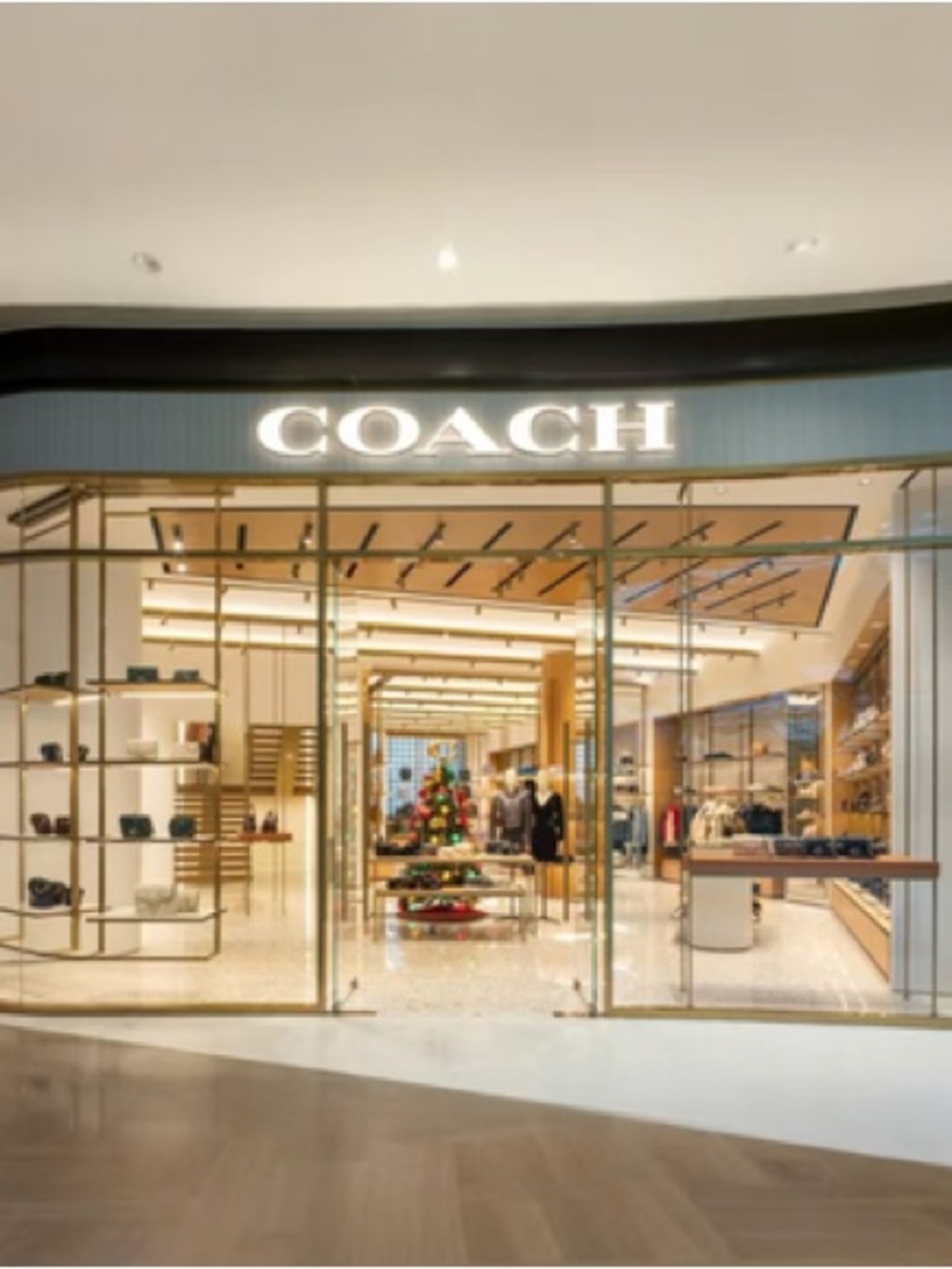 Coach items